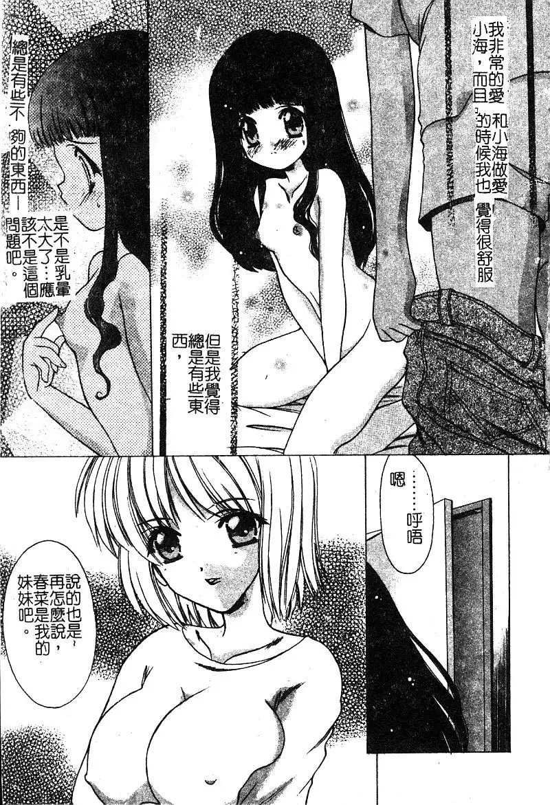 Petit Lover （chinese）