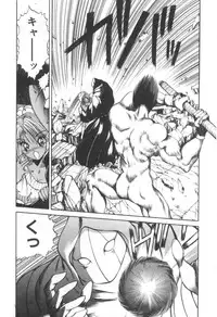 [Fujisaki Makoto] Dark Wirbel Konran-hen