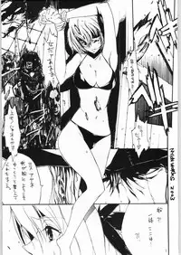 (C64) [nylon 100% (Nylon)] Private Beach! (Dead or Alive)