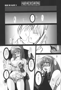 (CR31) [U-A Daisakusen, Lapislazuli=corporation (Harada Shoutarou)] Ruridou Gahou 17 (Dead or Alive)