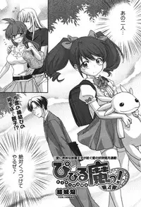 COMIC Aun 2010-11