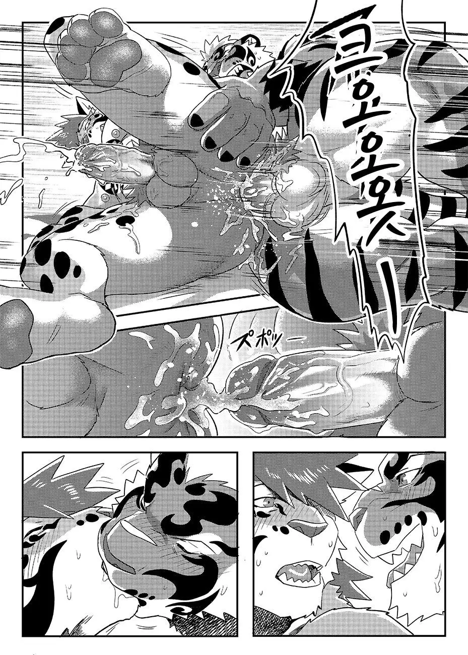 Nekojishi EXTRA | 네코지시 EXTRA