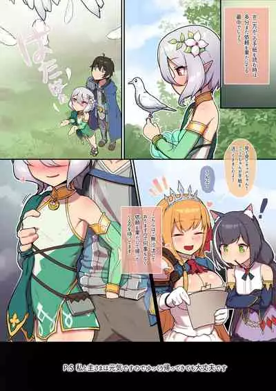 [Leonat] Kokkoro to randosoru nichijyou seikatu (Princess Connect! Re:Dive) [Digital]