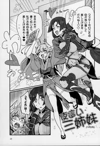 (C92) [Marutori no Chazuke (Torichamaru)] Seihitsu-chan wa Sawareraretai (Fate/Grand Order)