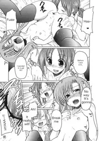 (C76) [TAROTS (Sawano Akira)] Hinagiku to Hamster ga Kyakkyaufufu Suru Ecchi na Hon (Hayate no Gotoku!) [English] [dvinrtribution]