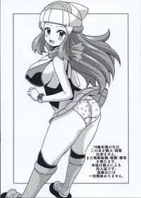 (SC65) [Haguruman (Koutarosu)] Hikari to Haruka no Hon (Pokemon)