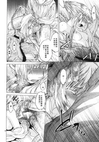 [Toko-ya (HEIZO, Kitoen)] Saint Foire Festival 3 Richildis [Chinese] [翻譯蒟蒻] [Digital]