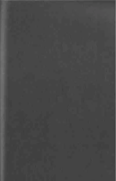 Kyokugen Kouchi no Kemono Kouhen | 极境的野兽 后篇