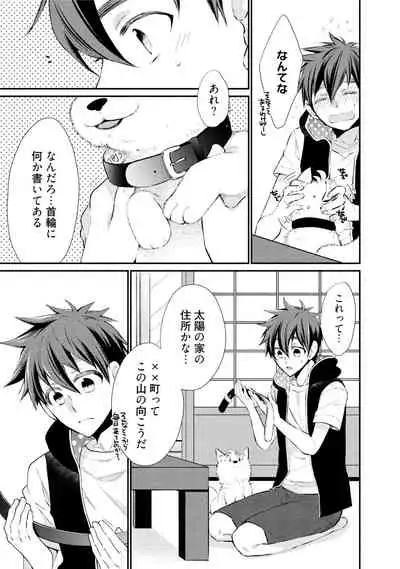 Wolves and Erotic Things