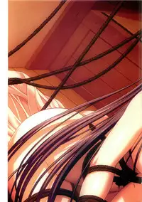 [NO2 PRODUCT] FUJII KAZUHA ILLUSTRATIONS 1