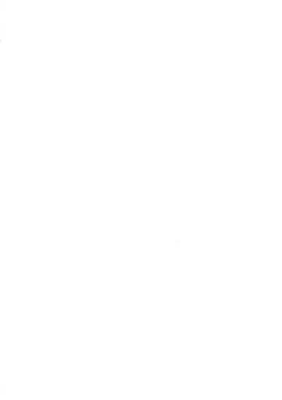 (C94) [chested (Tokupyon)] Nishizumi-ryuu Iemoto no Sodatekata - Maho no Baai Jou (Girls und Panzer) [Chinese] [不咕鸟汉化组]