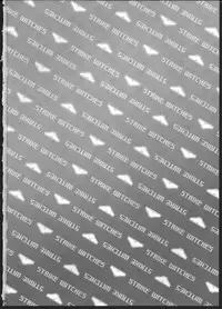 (Puniket 22) [Hitomaron (Setouchi Sumako)] Pantsu to Zubon no Kyoukaisen 2 (Strike Witches)