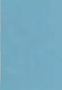 (C88) [Nagiyamasugi (Nagiyama)] Hifuu Ryoujoku 4 Renko Okusuri Jikken (Touhou Project) [Chinese] [CE家族社]