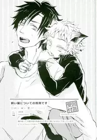 (Mekakushidan Katsudou Nisshi 3-satsume) [Kurobuchi (Nmi)] Usotsuki Neko (Kagerou Project)