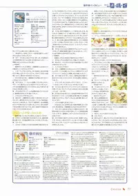 Canvas Visual Fan Book