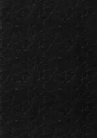 (COMIC1☆10) [INS-mode (Amanagi Seiji)] Watashi to Kanojo to Ai to Yoku [Chinese] [想抱雷妈汉化组X学习一个汉化组]