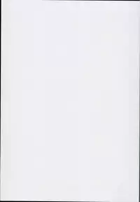 (C94) [Chinchintei (chin)] Chinchintei Oomori Teishoku 2-Haime Soushuuhen Vol. 2 (Touhou Project)