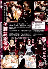 COMIC Megastore 2011-02