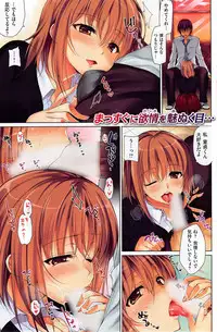 COMIC Shitsurakuten 2014-01
