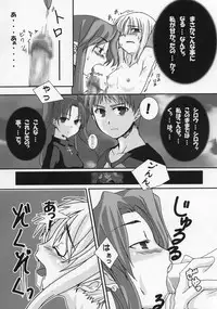 (C66) [Tougeyahonpo (Mutsuki Izumo)] Ousama no Kakushigoto. (Fate/stay night)