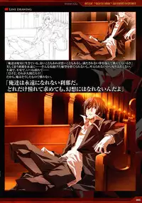 Dies irae Visual Fanbook - Red Book (Resale Version)