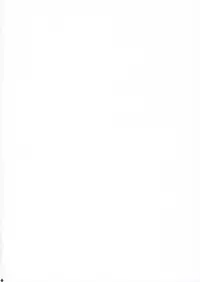 (SC33) [Toko-ya (Kitoen)] Nina-san ga Taihen na Koto ni Naru Hon. (Breath of Fire IV)