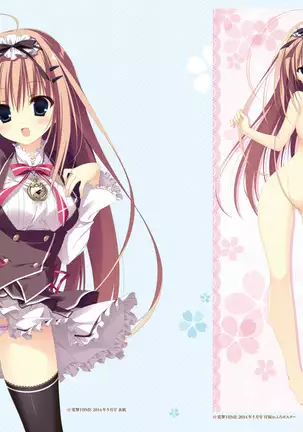 Majo Koi Nikki - Visual Fanbook