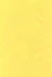 (C63) [HONEY QP (Inochi Wazuka)] EVERYTIME YOU! (Final Fantasy VII, Final Fantasy Unlimited)