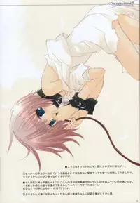 (CosCafe10) [CHRONOLOG (Sakurazawa Izumi)] One Night Carnival II (Utawarerumono)