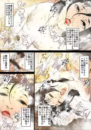 Mama Ningyou Lobotomy Shujutsu ni Shippai Shita Hahaoya o Dutch Wife ni Shiteiru Musuko no Hanashi.