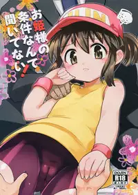 (C91) [EX35 (Kamaboko RED)] Ohime-sama no Jouken nante Kiitenai! (Bakusou Kyoudai Let's and Go!!)