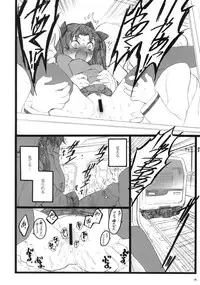 (C70)[Keumaya (Inoue Junichi)] Hyena 2 (Fate/stay night)