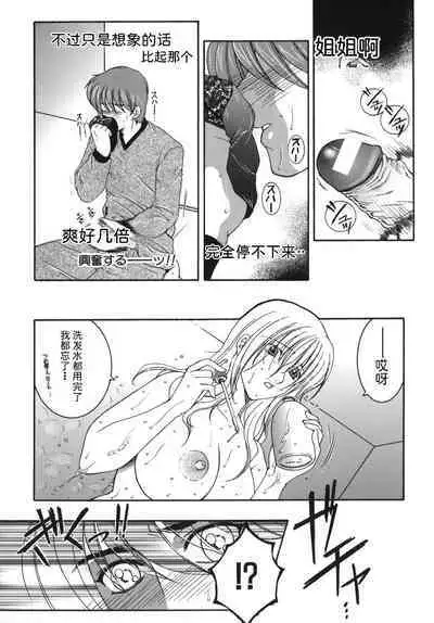 Gaden Insui（chinese）