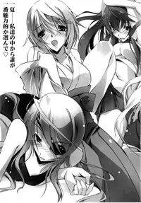 (COMIC1☆5) [RYU-SEKI-DO (Nagare Hyo-go)] Lovers-Striker 6p (IS <Infinite Stratos>)