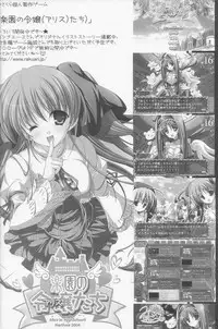 (Comic Castle 2006) [HarthNir (Misakura Nankotsu)] Haou no Tamago-tachi LEVEL 01 (Final Fantasy XII)