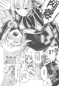 (C72) [Genshoku-Takesato-ya (Mimura Ryou, Takenoko Seijin)] Konjiki no Lion | 我們家的金獅子 (Fate/hollow ataraxia) [Chinese]