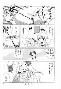 (C64) [Shallot Coco (Yukiyanagi)] Yukiyanagi no Hon 6 Morrigan Leather Type (Final Fantasy Tactics Advance)