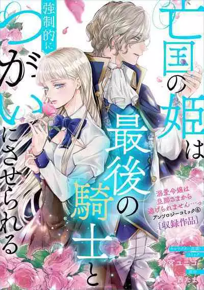 bōkoku no hime wa saigo no kishi to kyōsei-teki ni tsugai ni sa se rareru | 亡国的公主被强制许配给了最后的骑士