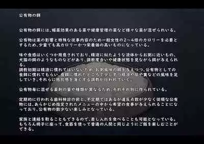 Public Property Sex Slave Girl Vol.02