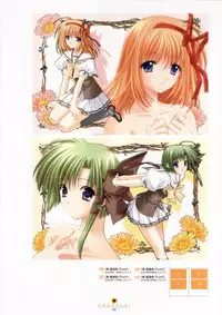 Shuffle! - Visual Fan Book