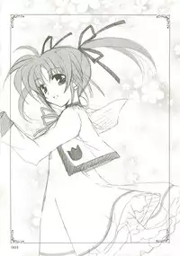 (C73) [PLUM (Kanna)] Mahou Shoujo Magical SEED Soushuuhen X (Mahou Shoujo Lyrical Nanoha)