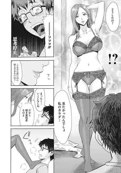 Hitozuma Club Glass no Kutsu