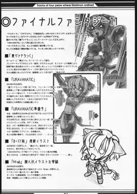 [Wildcat Pirates (MARIMON)] Memory's (Final Fantasy XI)