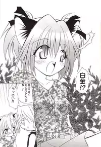 (C62) [Studio Wallaby (Shizaki Masayuki)] Strawberry sex (Tokyo Mew Mew)