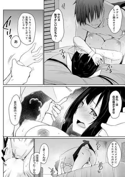 Houshi Shuzoku ga Yattekita!