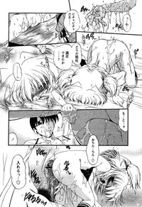 COMIC Papipo 2005-11