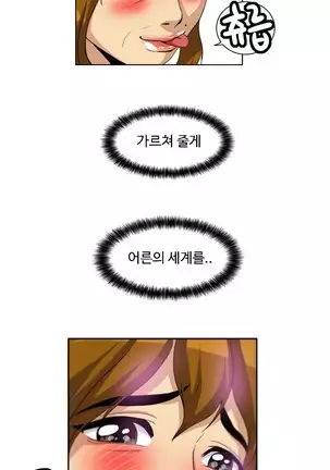 Chauffeur Service Ch.1-30.5