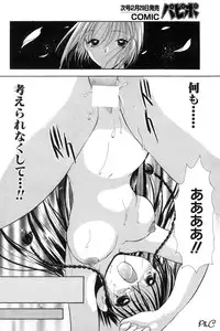 Comic Papipo 2000-03