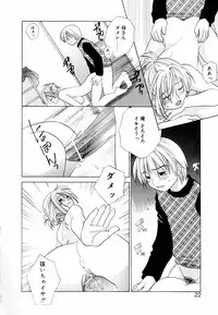 [Amanatsu Makoto] Mix Ponch