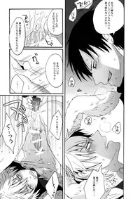 (CCOsaka79) [Zerohaku (Fuji Mako)] BUKURO No Shizuusagi (Durarara!!)